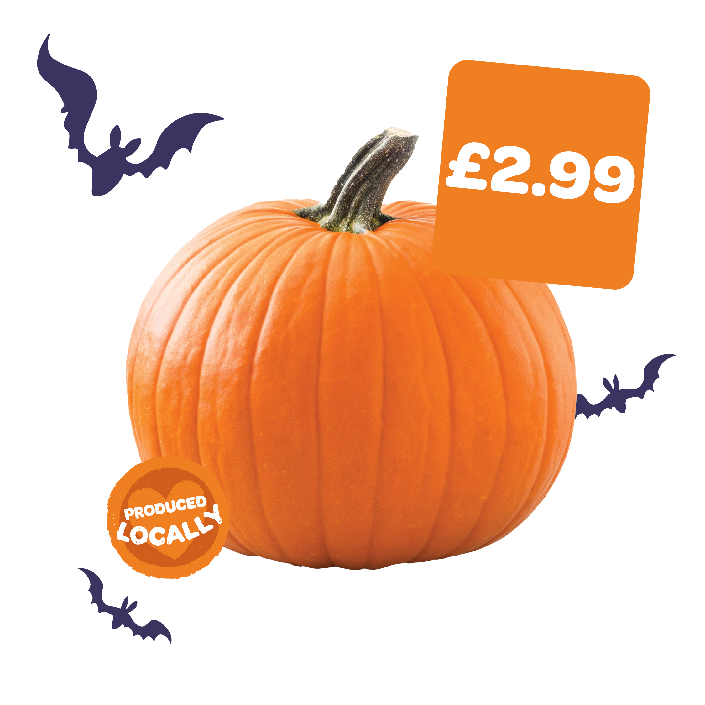 Gilfresh Medium Pumpkin