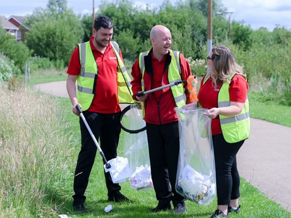 Litter picks